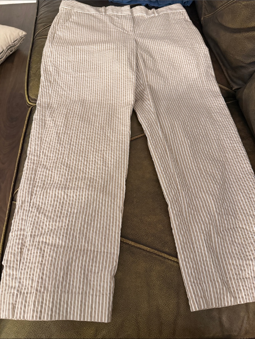 Loft Striped Linen Blend Pants in Beige and White